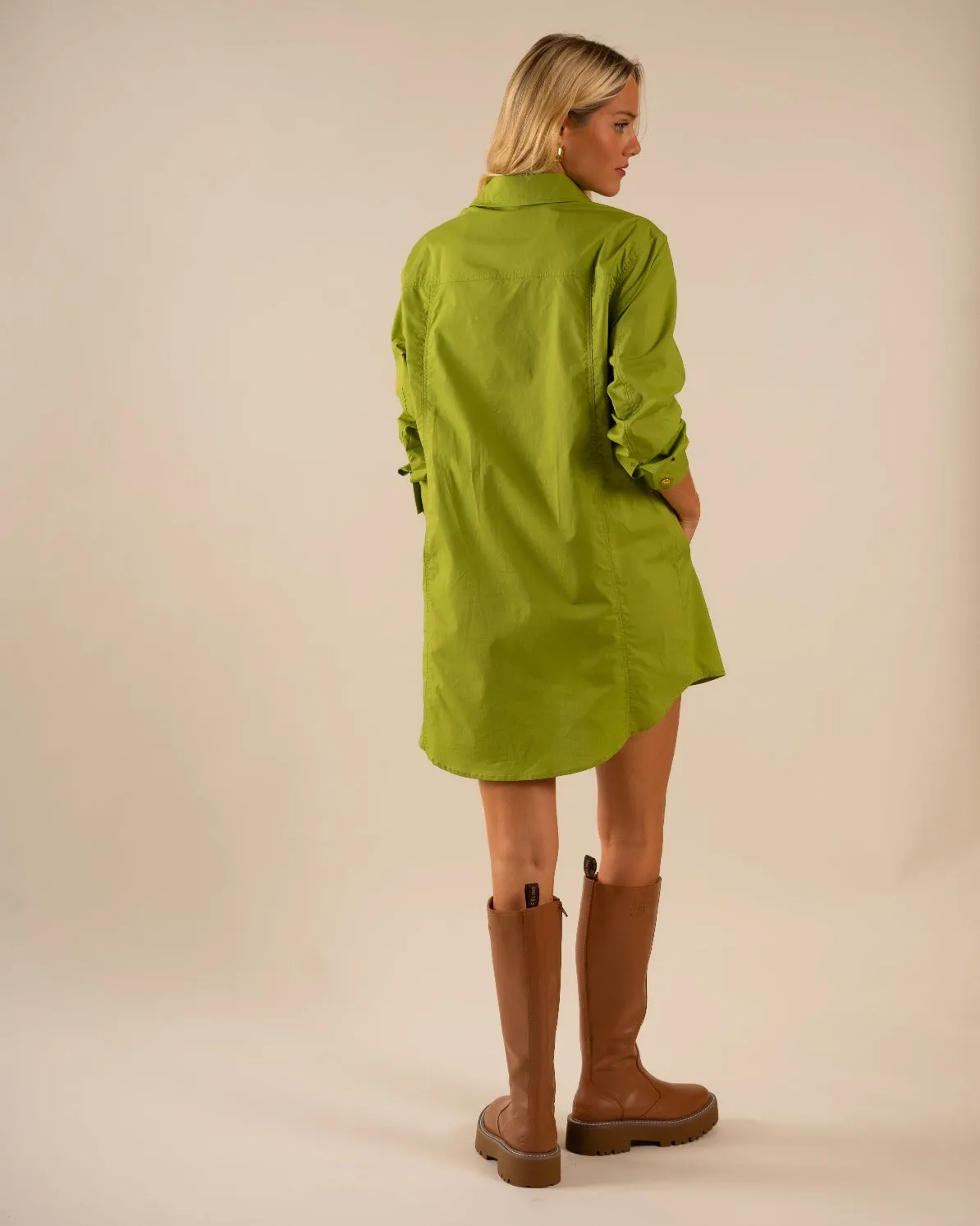 Basic Preslie Poplin Shirt Dress Cactus